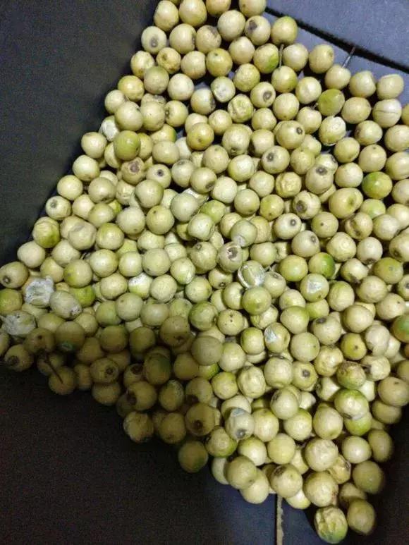 苦楝子手串怎么制作,苦楝子手串效果