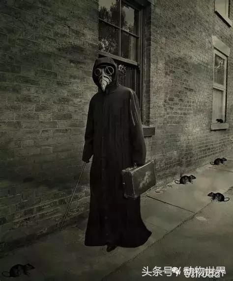 神秘的鸟嘴医生,中世纪鸟嘴医生