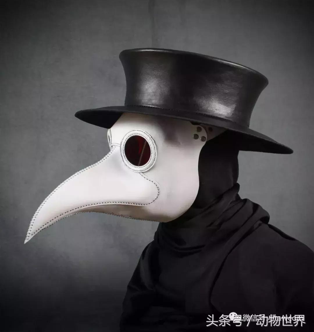 神秘的鸟嘴医生,中世纪鸟嘴医生