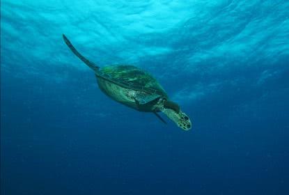 东南亚人少景美海岛,不想去人多的地方可以去哪玩