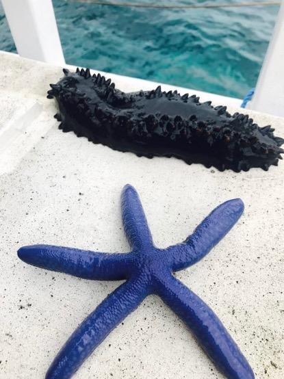 东南亚人少景美海岛,不想去人多的地方可以去哪玩