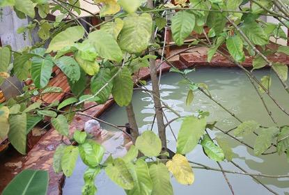 东南亚人少景美海岛,不想去人多的地方可以去哪玩