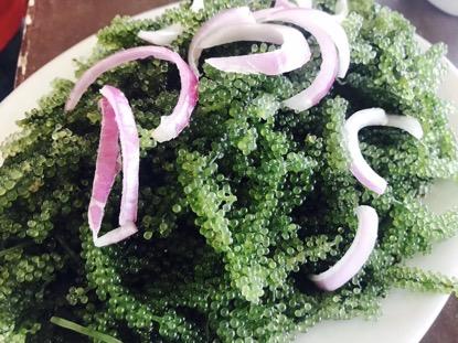 东南亚人少景美海岛,不想去人多的地方可以去哪玩