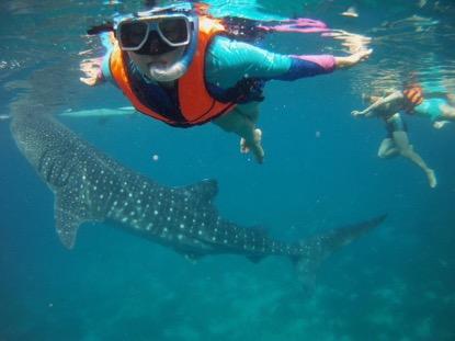 东南亚人少景美海岛,不想去人多的地方可以去哪玩