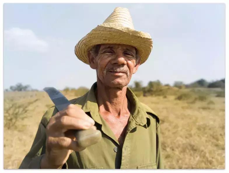 三摄手机和四摄手机区别,三摄手机和四摄手机有什么区别