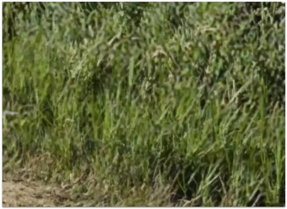 三摄手机和四摄手机区别,三摄手机和四摄手机有什么区别