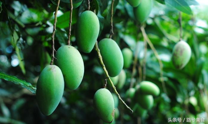 越南青芒果怎么吃好吃,青芒果泰式吃法