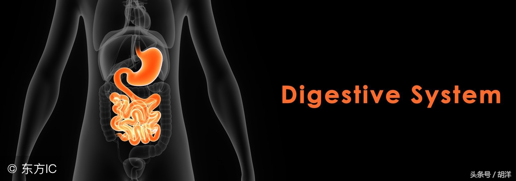 有肿瘤是否肿瘤标志物一定会偏高,肿瘤标志物ca125与什么有关