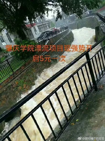 广东最坑的8所大学,广东最坑人的13所大学