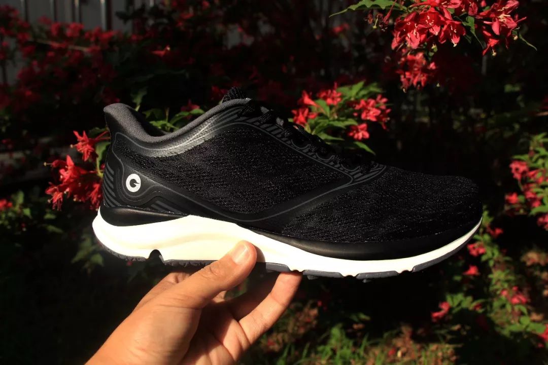 amazfitpoppro娴嬭瘎,amazfitt-rex鍜宲ro鍖哄埆