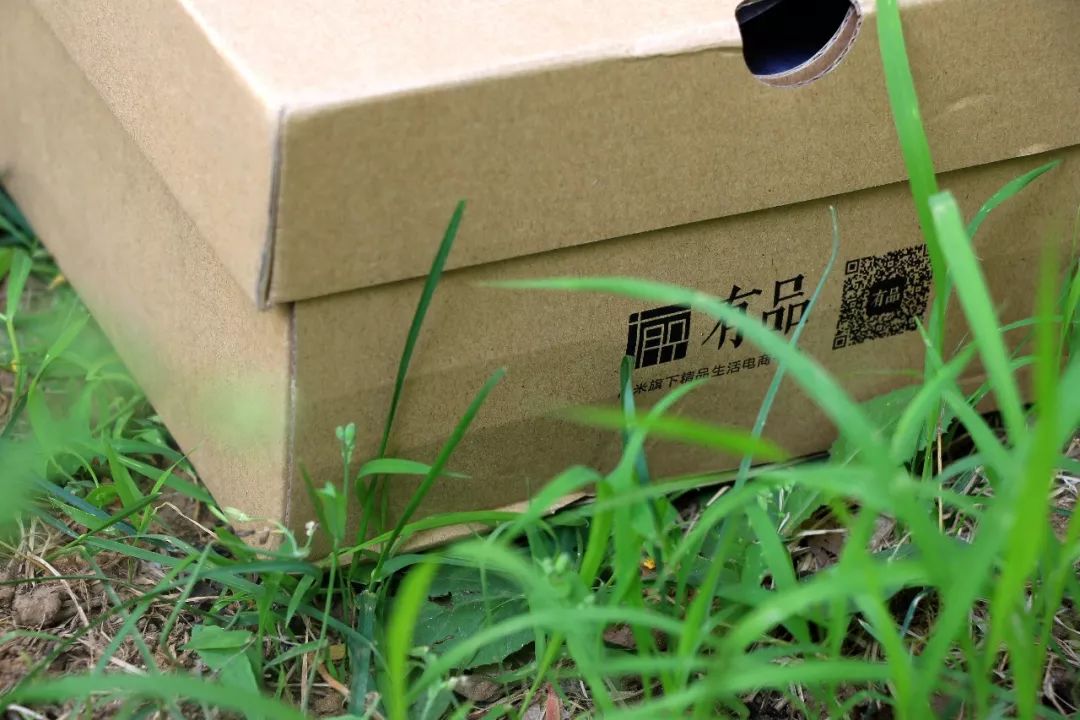 amazfitpoppro娴嬭瘎,amazfitt-rex鍜宲ro鍖哄埆