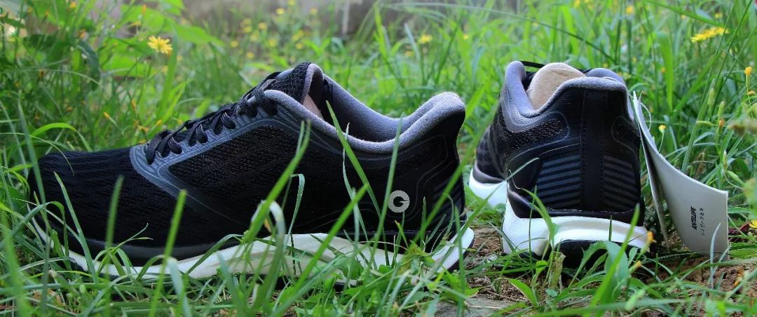 amazfitpoppro娴嬭瘎,amazfitt-rex鍜宲ro鍖哄埆