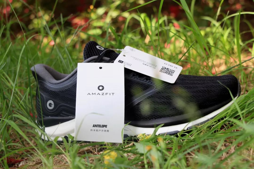 amazfitpoppro娴嬭瘎,amazfitt-rex鍜宲ro鍖哄埆