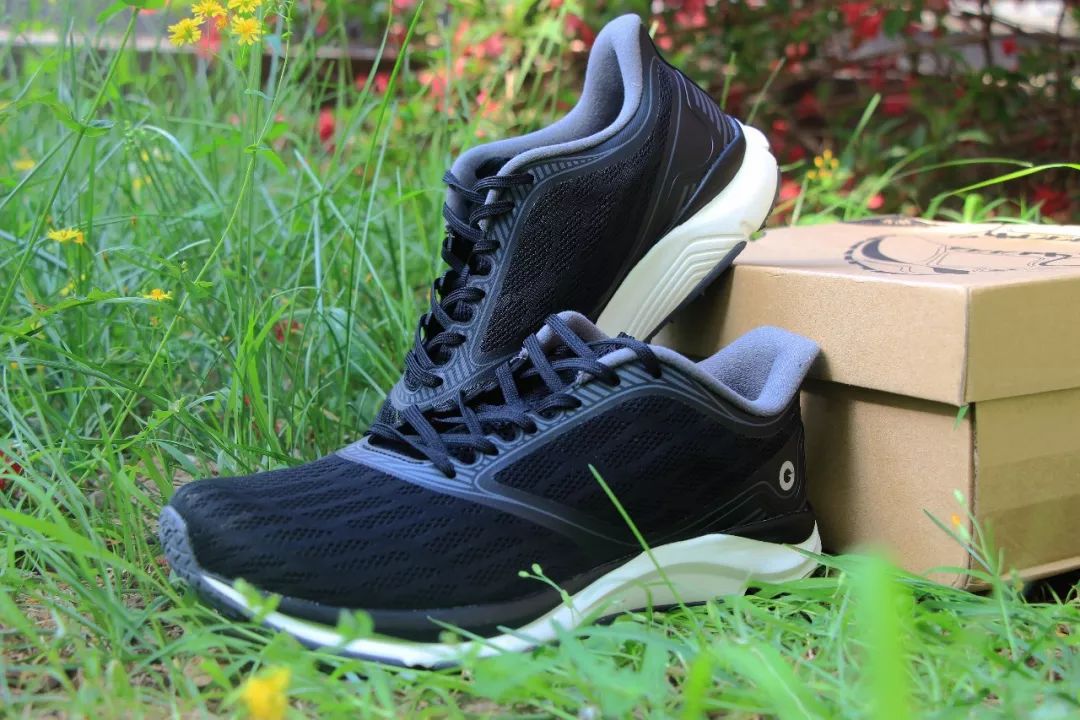 amazfitpoppro娴嬭瘎,amazfitt-rex鍜宲ro鍖哄埆