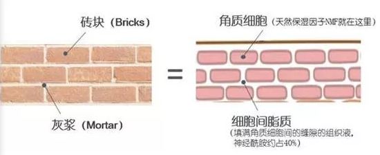 这种根治激素脸的秘方,当地姑娘很多都在用它,治一个好一个