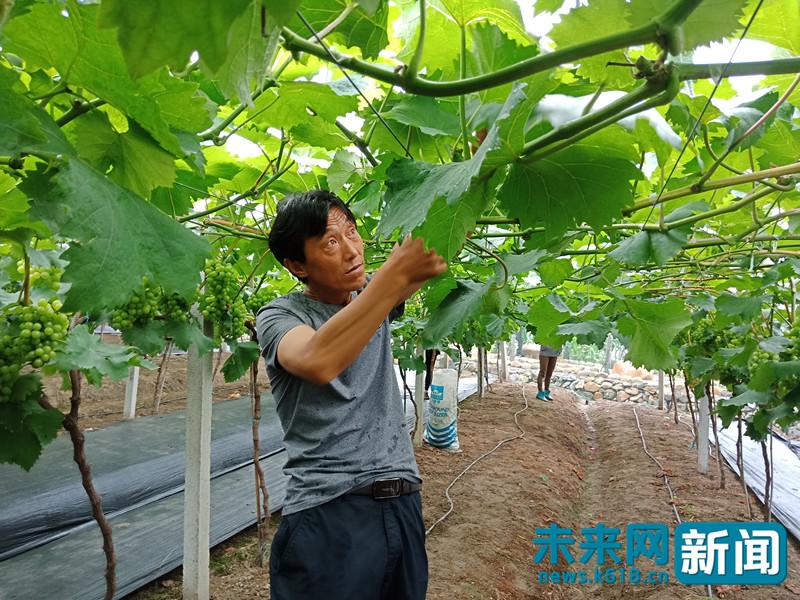 扶上马送一程脱贫攻坚,革命老区脱贫致富现场