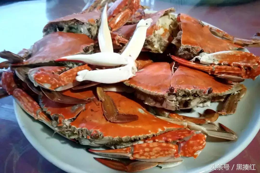 我国十大最美海岛南麂岛,温州唯一的海岛