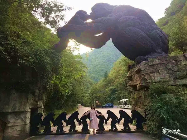 神农架大九湖最美雪景,神农架神农顶大九湖