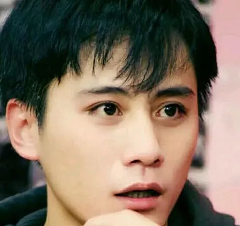 刘烨与妻子安娜结婚的视频,刘烨安娜的爱情