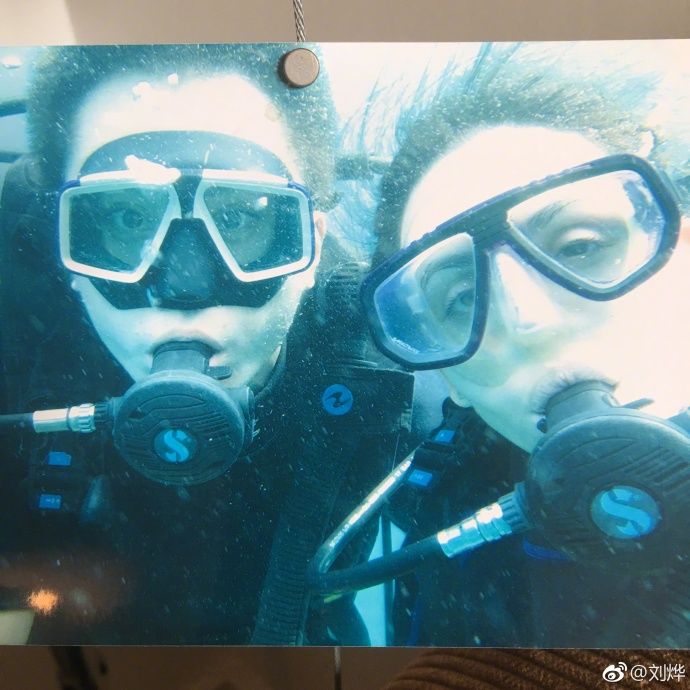 刘烨与妻子安娜结婚的视频,刘烨安娜的爱情