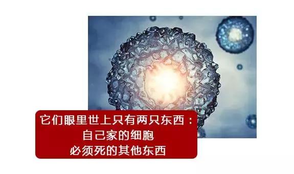 你不是最快的那颗精子，却是运气最好的！