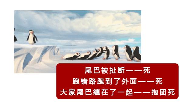 你不是最快的那颗精子，却是运气最好的！