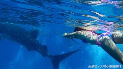 不想人挤人的地方,东南亚吃住玩一体海岛