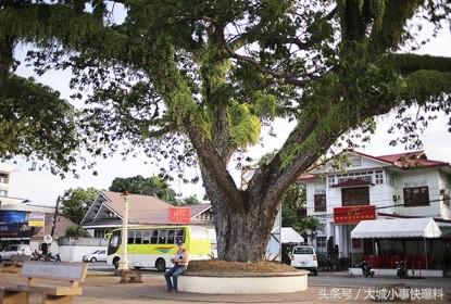 不想人挤人的地方,东南亚吃住玩一体海岛