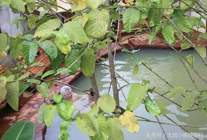 不想人挤人的地方,东南亚吃住玩一体海岛