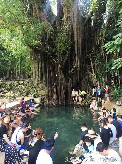 不想人挤人的地方,东南亚吃住玩一体海岛
