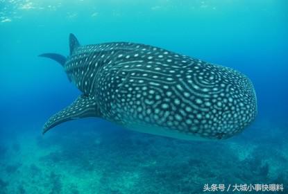 不想人挤人的地方,东南亚吃住玩一体海岛