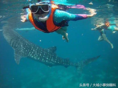 不想人挤人的地方,东南亚吃住玩一体海岛