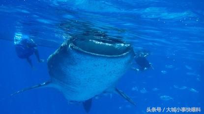 不想人挤人的地方,东南亚吃住玩一体海岛