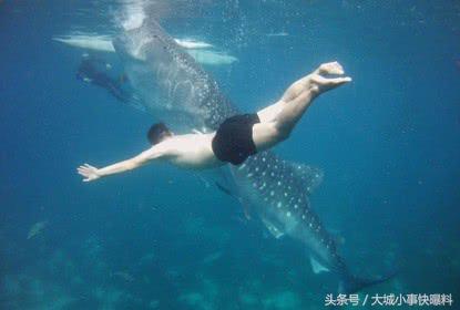 不想人挤人的地方,东南亚吃住玩一体海岛