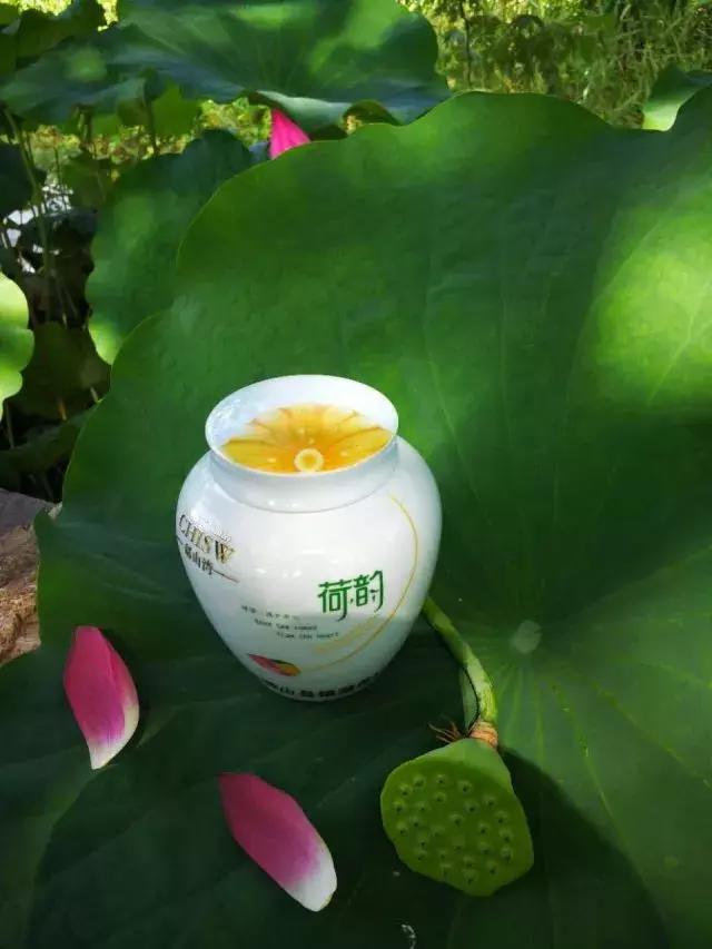 微山湖哪里坐船赏荷花,微山湖看荷花攻略一日游