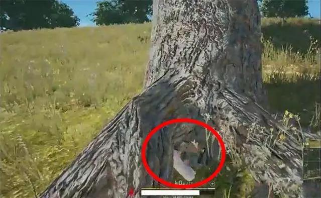 绝地求生十大经典挂,绝地求生最变态的挂是什么