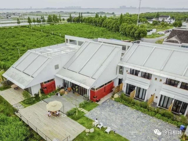 人人都说阳澄湖好,我却只想和你在这慢慢变老