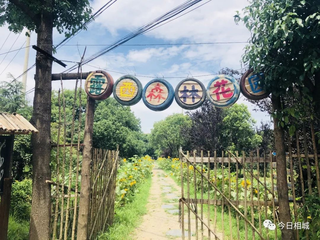 人人都说阳澄湖好,我却只想和你在这慢慢变老