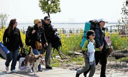 人人都说阳澄湖好,我却只想和你在这慢慢变老