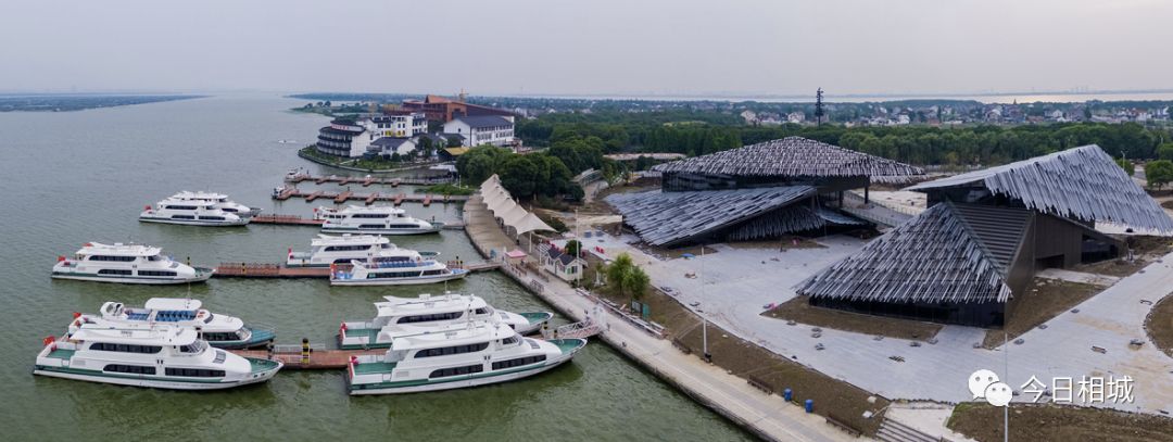 人人都说阳澄湖好,我却只想和你在这慢慢变老