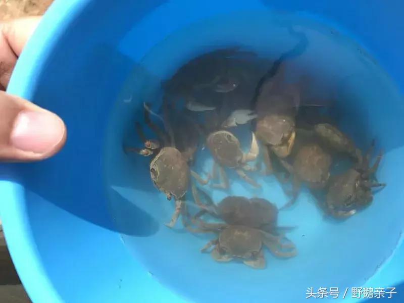 去东戴河玩好不好,现在去东戴河玩有什么危险吗