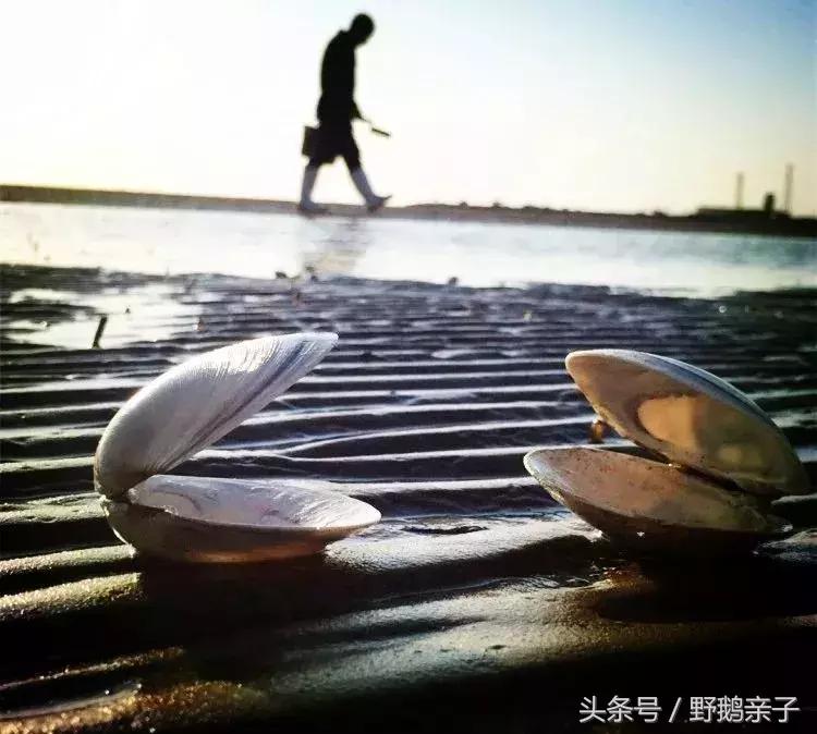 去东戴河玩好不好,现在去东戴河玩有什么危险吗