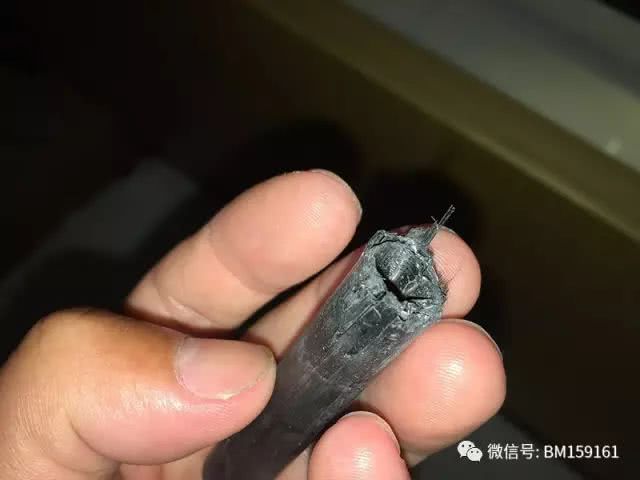 北大荒雷强打猎,北大荒雷强打黑