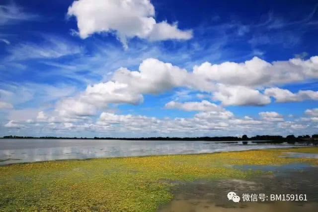 北大荒雷强打猎,北大荒雷强打黑