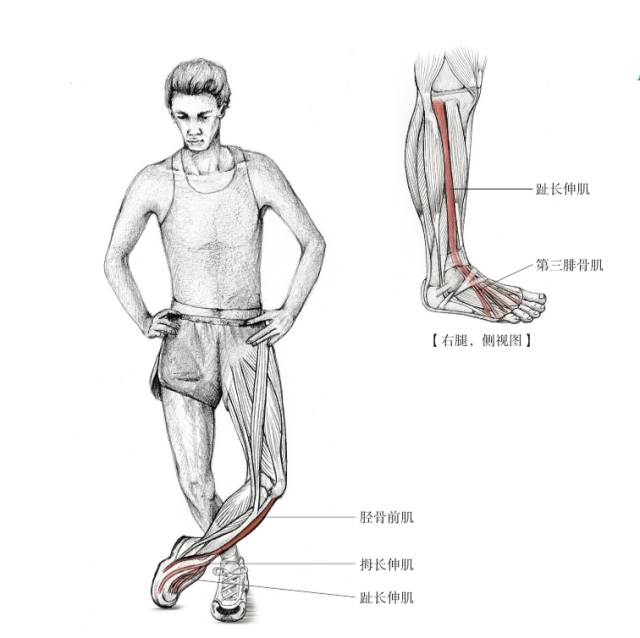 如何避免脚踝扭伤,脚踝扭伤踢球如何避免再次扭伤
