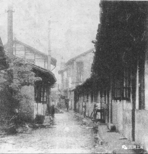 记忆上海昔日的南市,记忆上海文庙