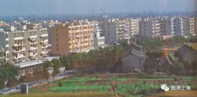 记忆上海昔日的南市,记忆上海文庙