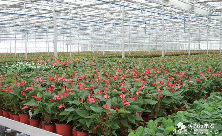 碳纤维电地暖的优点和缺点有哪些,碳纤维电地暖的优缺点