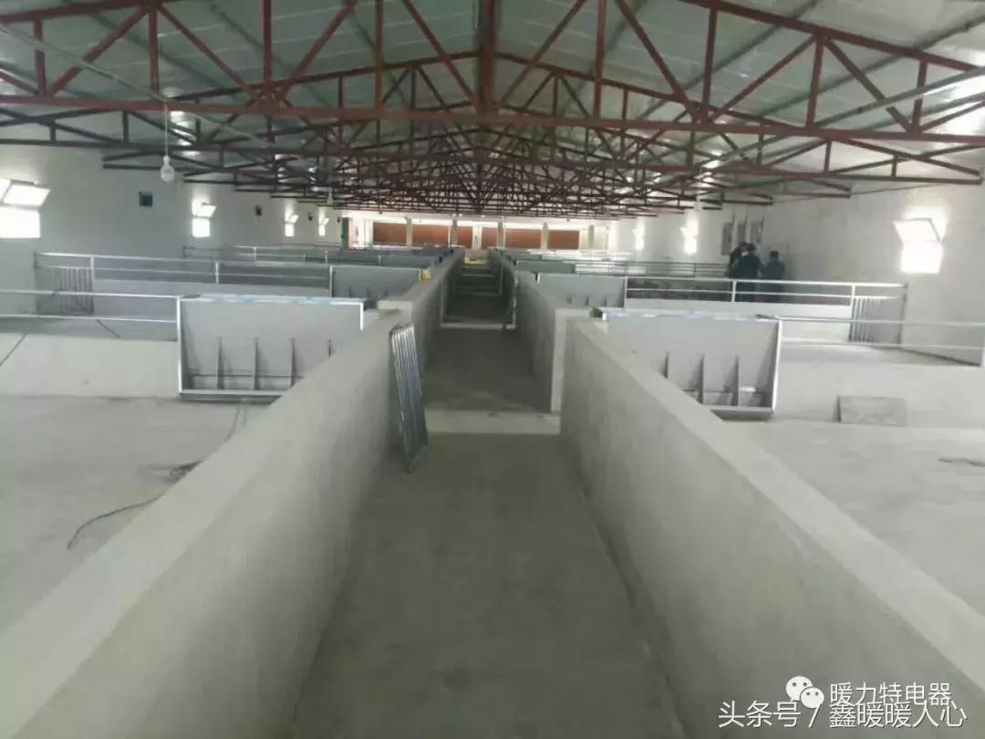 碳纤维电地暖的优点和缺点有哪些,碳纤维电地暖的优缺点