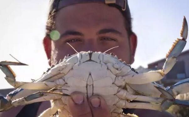 螃蟹的世界旅行,螃蟹的世界深度解析